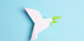 Desarrollo de un proyecto de investigación sobre el eje de una política pública que versa sobre la paz y la memoria democrática