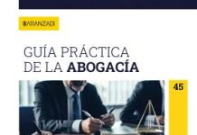¿Cómo plantear una estrategia de defensa?: la teoría del caso