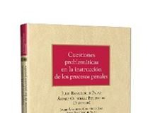 Cuestiones Problemáticas en la Instrucción de los Procesos Penales 1ª Ed.