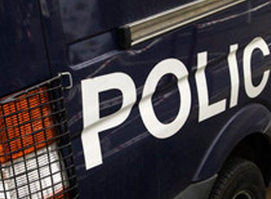 Aproximación a los términos, RETENER, ARRESTAR, ACOMPAÑAR, DETENER, DEMORAR…conforme la Instrucción núm. 1/2024 de la Secretaría de Estado de Seguridad por la que se aprueba el “procedimiento integral de la detención policial”