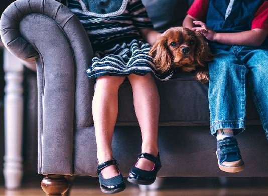 Deniegan a un padre un régimen de visitas con sus hijos porque presuntamente presenciaron sus conductas violentas