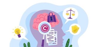 Novedades del reglamento del registro de la propiedad intelectual y su impacto en la protección del software