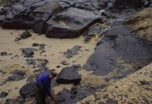 España pierde su recurso en Reino Unido para cobrar 855 millones a la aseguradora de la catástrofe del Prestige