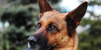 ¿Invasión de derechos fundamentales?