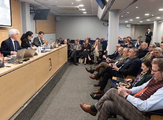 El Pleno de la Abogacía aprueba el proyecto de reglamento de amparo colegial y abre la consulta pública