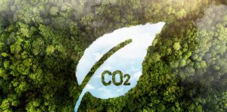 El Gobierno obligará a la Administración General y a las grandes empresas a registrar y publicar su huella de carbono