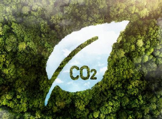 El Gobierno obligará a la Administración General y a las grandes empresas a registrar y publicar su huella de carbono