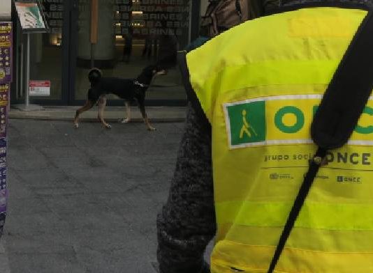 Ratifican conceder la incapacidad absoluta a una vendedora de la ONCE con adicciones, trastorno conectivo y de personalidad
