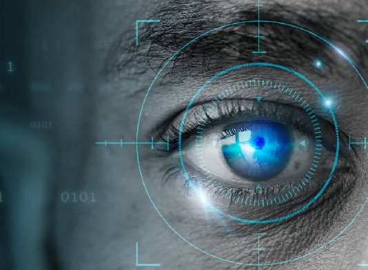 El desarrollo urgente de un marco europeo de protección frente al software espía