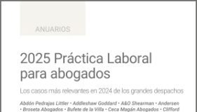2025 Práctica Laboral para abogados