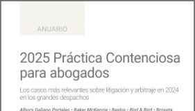 2025 Práctica Contenciosa para abogados