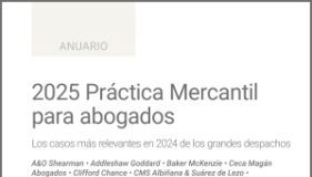 2025 Práctica Mercantil para abogados