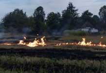 El Gobierno aprueba un marco común de actuación contra incendios forestales para reforzar la coordinación de dispositivos