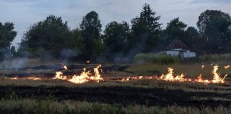 El Gobierno aprueba un marco común de actuación contra incendios forestales para reforzar la coordinación de dispositivos