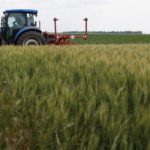 El BOE la orden de módulos con importantes reducciones en el IRPF 2025 para 10.000 agricultores y ganaderos