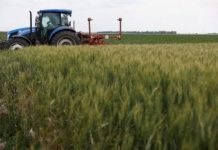 El TSJ de Castilla-La Mancha rechaza conceder un grado superior de incapacidad a un tractorista agrícola porque todavía no ha transcurrido el plazo para revisar sus patologías