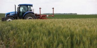 El TSJ de Castilla-La Mancha rechaza conceder un grado superior de incapacidad a un tractorista agrícola porque todavía no ha transcurrido el plazo para revisar sus patologías