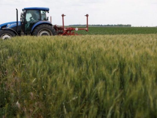 El BOE la orden de módulos con importantes reducciones en el IRPF 2025 para 10.000 agricultores y ganaderos