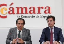 La Cámara de España analiza junto con el Tribunal Constitucional la instrucción penal de las personas jurídicas