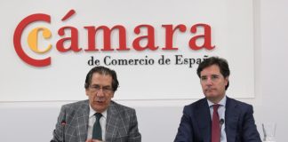 La Cámara de España analiza junto con el Tribunal Constitucional la instrucción penal de las personas jurídicas