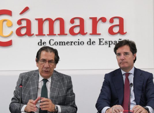 La Cámara de España analiza junto con el Tribunal Constitucional la instrucción penal de las personas jurídicas