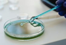 El Gobierno aprueba un real decreto para garantizar un alto nivel de protección en productos sanitarios de diagnóstico ‘in vitro’