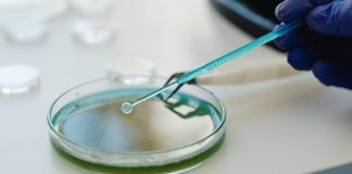 El Gobierno aprueba un real decreto para garantizar un alto nivel de protección en productos sanitarios de diagnóstico ‘in vitro’