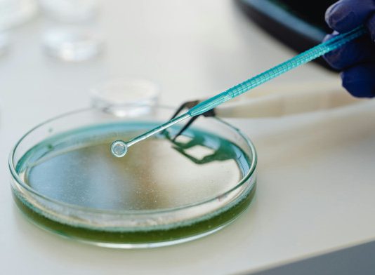 El Gobierno aprueba un real decreto para garantizar un alto nivel de protección en productos sanitarios de diagnóstico ‘in vitro’