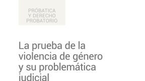 La prueba de la violencia de género y su problemática judicial