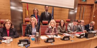 Los Abogados de Familia, en el Senado: «La Ley de Eficiencia favorece a padre y madres incumplidores»