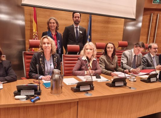 Los Abogados de Familia, en el Senado: «La Ley de Eficiencia favorece a padre y madres incumplidores»
