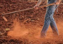 El TSJ de Aragón ratifica que un capataz puede seguir trabajando porque sus lesiones no impiden dirigir al personal