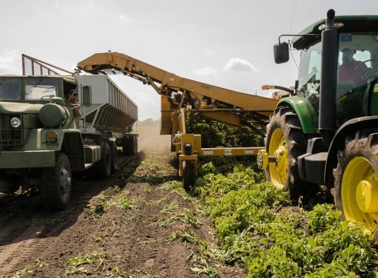 La importancia de la PAC en el próximo Marco Financiero Plurianual (2028-2034)