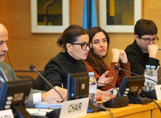 La ministra de Juventud e Infancia ha defendido ante la ONU que «España ha avanzado de manera significativa en la garantía de los derechos de la infancia».