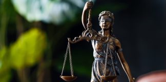 Fronteras actuales del derecho al honor