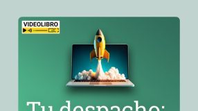Tu despacho: una empresa