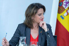 Aprobado el Real Decreto que establece la figura del autoconsumo energético colectivo La ministra para la Transición Ecológica, Teresa Ribera, durante su intervención en la rueda de prensa posterior al Consejo de Ministros.