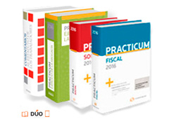 Practicum Fiscal Practicum Fiscal