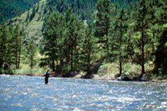 La Audiencia Provincial de Murcia absuelve de un delito contra el medio ambiente a los seis acusados por los vertidos al río Segura Un niño pescando en un río