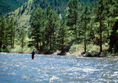 Un niño pescando en un río