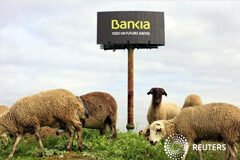 Las acciones de Bankia caen más de un 14% tras su valoración negativa En la imagen de archivo, unas ovejas pastan junto a un cartel de Bnakia a las afueras dee Sevilla, el 4 de diciembre de 2012.