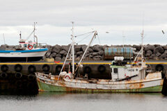 El Acuerdo de Pesca celebrado entre la UE y Marruecos es válido Pesca