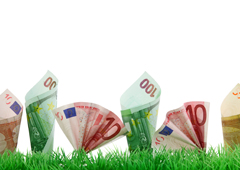 Distintos billetes de euros asomando por encima de la hierba