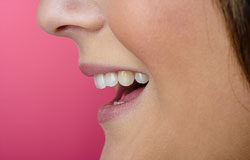 Los idiomas como elemento de interpretación jurídica ¡Eso mismo estaba diciendo yo!