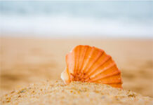 Thomson Reuters presenta las novedades editoriales de julio de 2020 Boletín novedades julio 2017