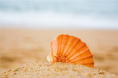 Thomson Reuters presenta las novedades editoriales de julio de 2020 Boletín novedades julio 2017