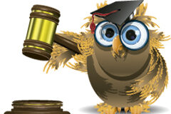 El ICAV crea una nueva Sección de Derecho de los Animales Dibujo de un búho con un mazo