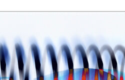 A un paso de la mejora de los Derechos en las telecomunicaciones Dentro de un cable un ratón de ordenador