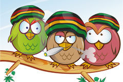 Asociaciones cannábicas: el Tribunal Supremo no reconoce el error invencible del art. 14 del Código Penal Cannabis