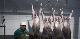 La economía española cae un 1,7% interanual en el tercer trimestre magen de un carnicero en un matadero en la localidad gaditana de La Línea de la Concepción el 26 de septiembre